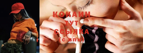 молекула духа Ельня