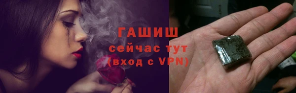 молекула духа Ельня