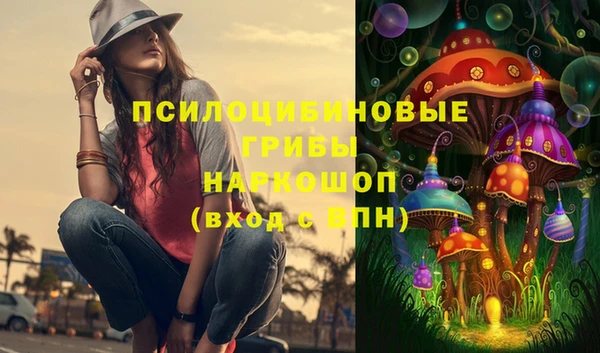 молекула духа Ельня