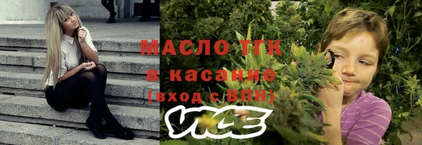 молекула духа Ельня