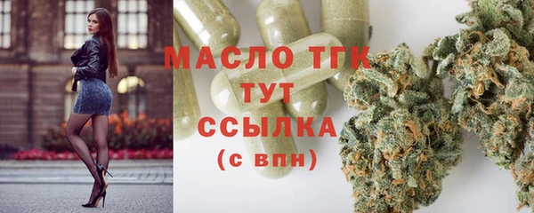 молекула духа Ельня