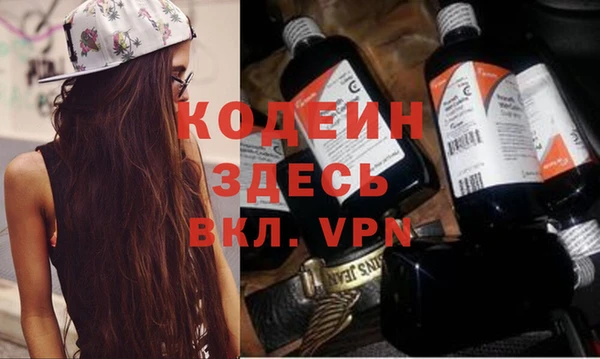 молекула духа Ельня